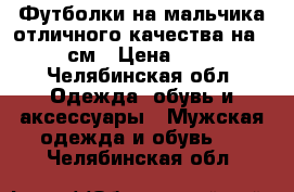 Футболки на мальчика отличного качества на 146 см › Цена ­ 400 - Челябинская обл. Одежда, обувь и аксессуары » Мужская одежда и обувь   . Челябинская обл.